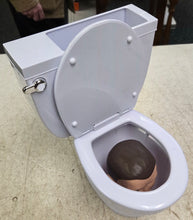 Load image into Gallery viewer, Skibidi Toilet Mystery Surprise Toilet